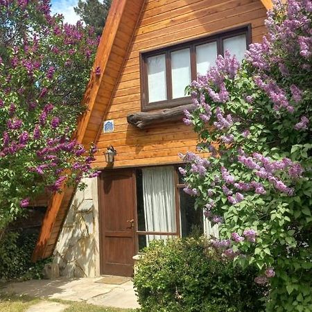 Villa Bungalow De Montana à Esquel Extérieur photo